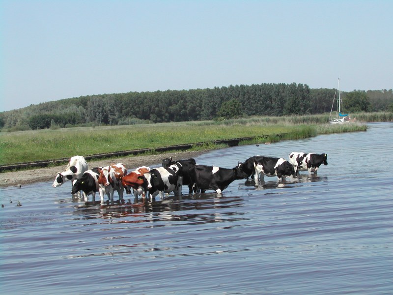 Denemarken 2006