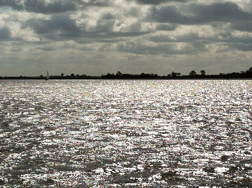 Friese meren