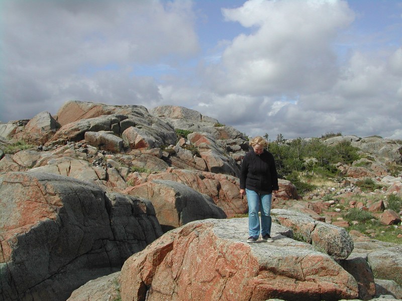 Scandinavie 2005